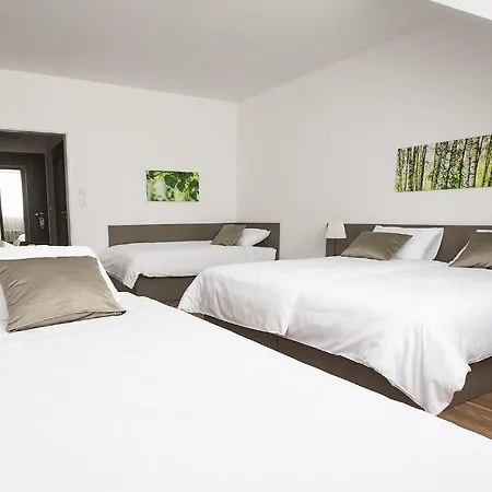 Penzion Holicky Dvur 3* Olomouc