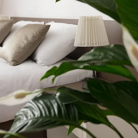 Penzion Holicky Dvur Hotel Olomouc