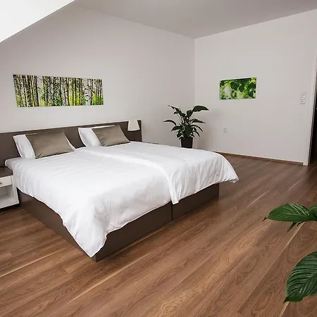 Penzion Holicky Dvur 3*