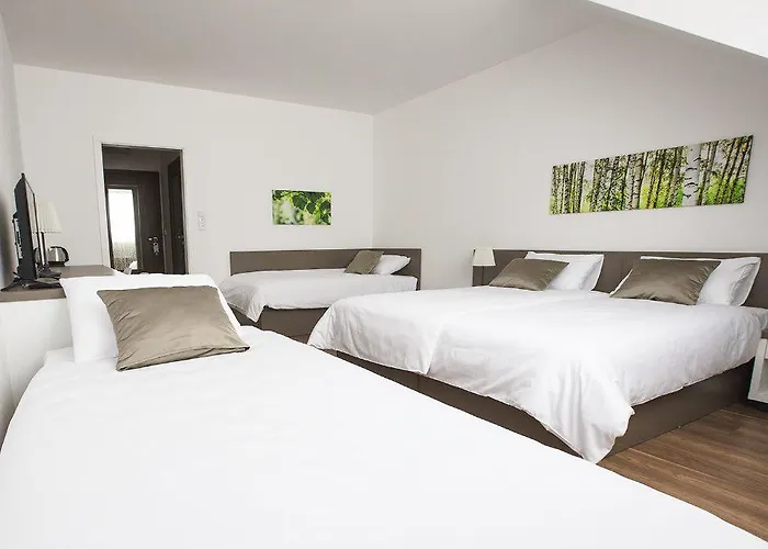 Penzion Holicky Dvur 3* Olmütz