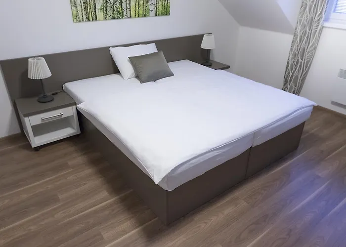 Penzion Holicky Dvur Hotel
